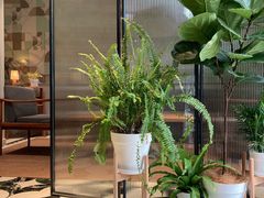 -一尺花园(安和花园店)