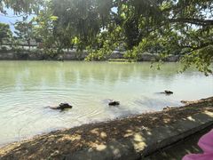 -杭州双溪漂流景区