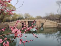 -颐和园