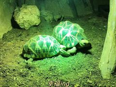 -济南野生动物世界