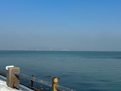 -悦海公园