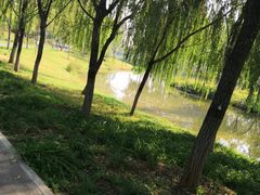 -东郊湿地公园
