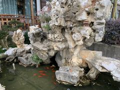 -呼吸森林·生态农庄农家乐私房菜