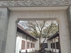 -上海醉白池公园