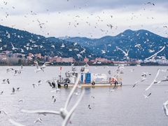 -海埂大坝