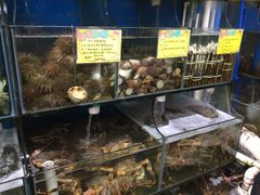 -蚝专家(北滘店)