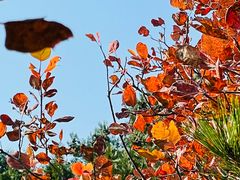 -北京西山国家森林公园