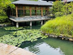 -深业半汤御泉庄温泉