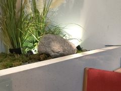 -蜜桃餐厅·伴山(绿宝广场店)