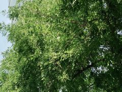 -中央广播电视总台(光华路办公区)