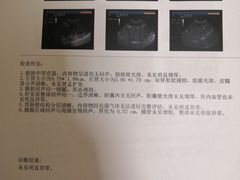 -瑞派·关忠动物医院·猫专科·犬专科(三环新城店)