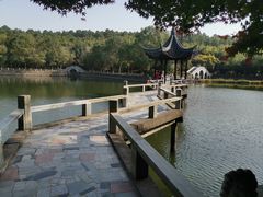 -悦禧耕岛酒店·指月坞餐厅·旺山特色农家乐