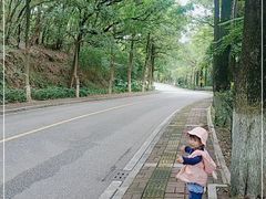 -三水森林公园