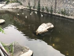 -北京水岸山吧度假村(雁栖镇店)