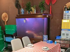-邵年鸽(杨庄店)