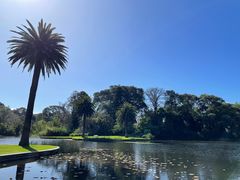 -墨尔本皇家植物园