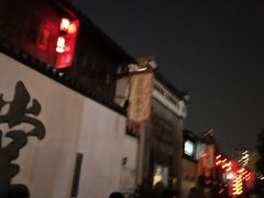 -运河游船(武林门码头)