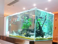 -黄鱼炙夜(华家池店)