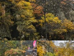 -茅兰沟国家森林公园
