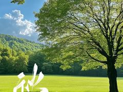 -重庆中央公园(渝北区)