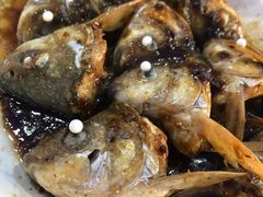 鲮鱼头-章记正宗南岗鱼蛋火锅