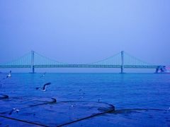 -大连星海广场音乐喷泉