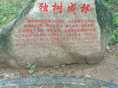 -瑞丽独树成林风景区