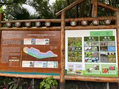 -华侨城湿地公园