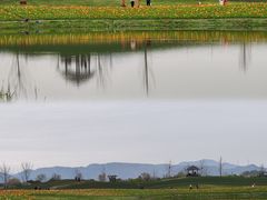 -径山花海