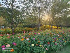 -福建鲤鱼洲酒店