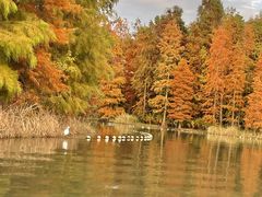 -上海海湾国家森林公园