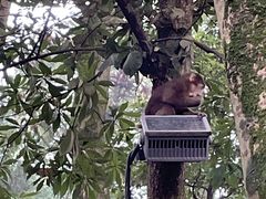 -八一路好吃街(雨田商务大厦店)