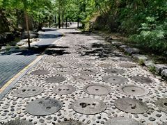 -十渡东湖港风景区