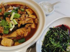 -刘胖子家常菜·蹄花焖藕(中南店)
