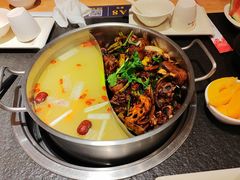 -蓉客成都火锅·招牌麻辣牛杂·特色香辣蹄花(凌水店)