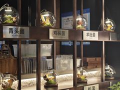 -芸山季·云南山珍菌火锅(人民广场来福士店)