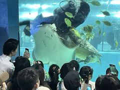 -苏州海洋馆