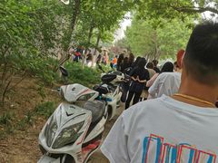 -中粮丰通（北京)食品有限公司