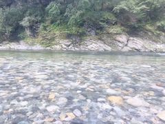 -黑河国家森林公园