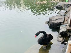 -上海怡沁园度假酒店