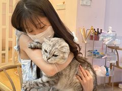 -猫咪派对(江南西店)