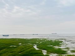 -汤山公园