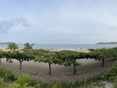 -渔家火锅·海鲜自助餐·演艺(亚龙湾天域酒店)