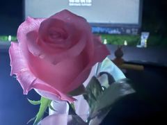 -枫花园汽车电影院(朝阳公园店)