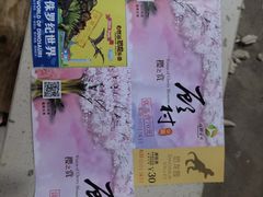 -自然谷恐龙园