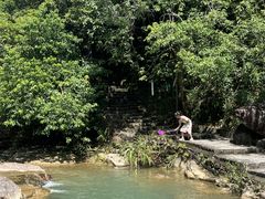 -广州白江湖森林公园