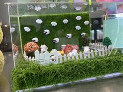 -迷客夏Milksha(圆融天幕店)