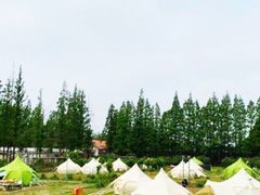 -前小桔亲子创意农场·草莓采摘·露营烧烤