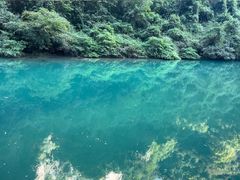 -张家界天门山国家森林公园