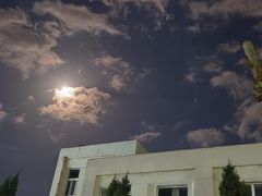 -青岛大学(金家岭校区)